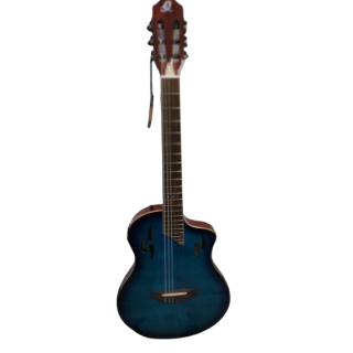 Ortega Classical Guitar - Tourplayer Deluxe - Blue - With Gig Bag (RTPDLX-FMA)