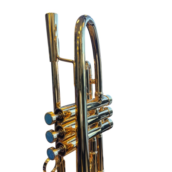 Mandala Apocalypsis Bb Trumpet in Gold Plate Finish with Deluxe Case - Image 6